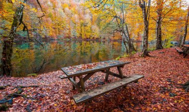 Sonbahar gezisi için 6 rota