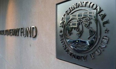 IMF'den Türkiye'ye faiz artışı tavsiyesi