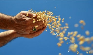 Gıda krizi milyonlarca kişinin hayatını tehdit ediyor