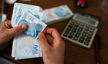 Nebati: KKM'de yenileme oranı yüzde 70
