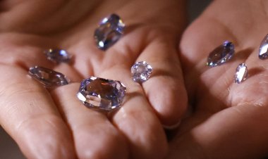 8 mavi elmas 70 milyon dolara alıcı bekliyor