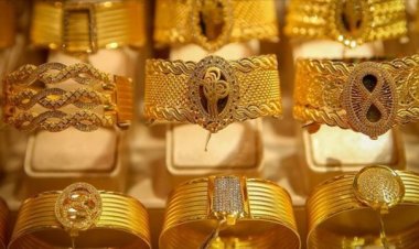 “2024 altın için daha parlak geçecek”