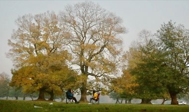 Son 8 yılın dünyadaki en sıcak yıllar olabileceği düşünülüyor