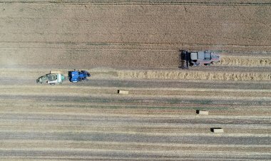 Tarımsal girdi enflasyonu yüzde 138 ile rekor tazeledi