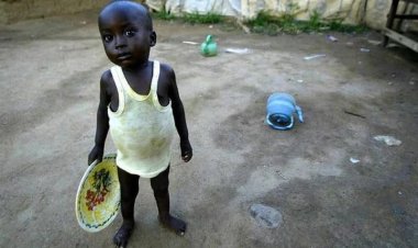 Afrika'da 278 milyon kişi aç