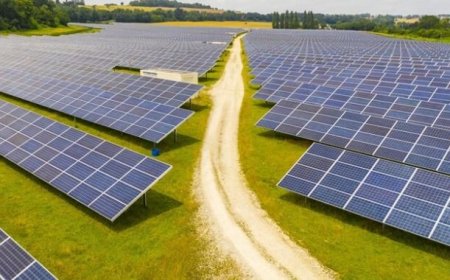 Küresel elektrik üretiminde "güneş"in payı büyüyor