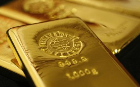 Merkez Bankası'nın altın rezervlerine yerli üretim katkısı