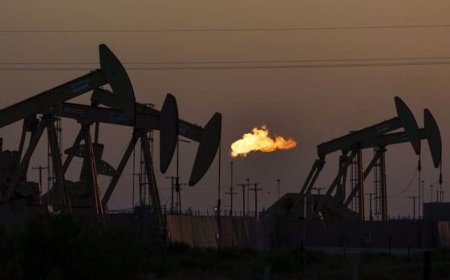 Türkiye'nin petrol ithalatı Şubat'ta arttı