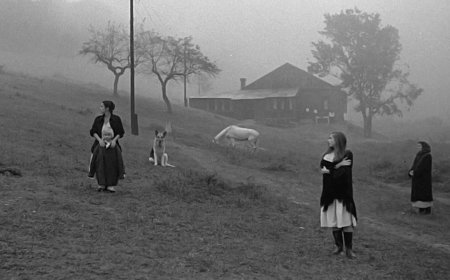 TRT 2'de mayısta sinema şöleni