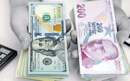 Dövizden TL mevduata geçen kârlı çıktı