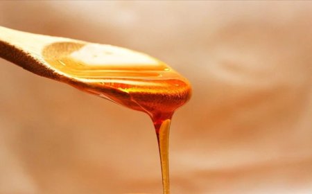 Türk balı 4 ayda 13,5 milyon dolar kazandırdı