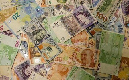 Bu hafta hangi yatırım aracı ne kazandırdı?