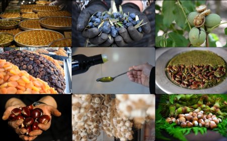 AB tescilli ürün sayısı 12'ye yükseldi