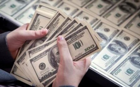 Dolar kurunda yeni zirve