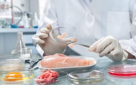 ABD'de laboratuvarda üretilen tavuk eti satışına onay