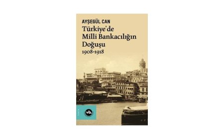 İktisadi alanda millileşme nasıl başladı?
