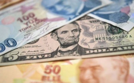 Türk Lirası neden değer kaybediyor, düşüş sürer mi?