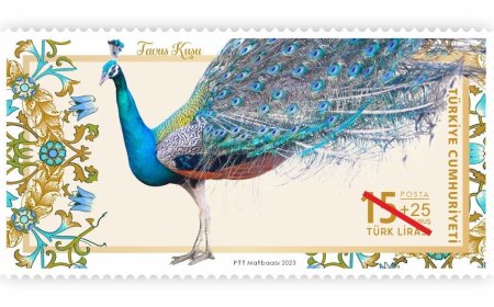 "Tavus kuşu" pul oldu
