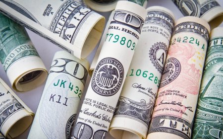 HSBC'nin 2024 sonu için dolar ve euro kuru tahminleri belli oldu