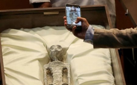 Meksika'daki iki "uzaylı" dünya gündeminde!