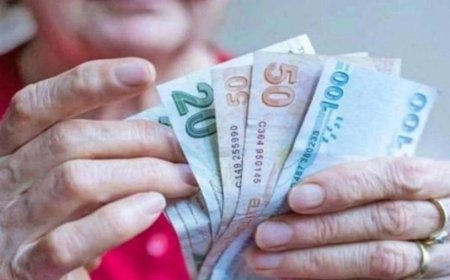 Emeklinin gözü Meclis'te