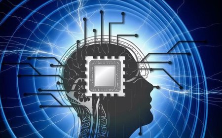 Musk'ın beyin çipi deneyine onay çıktı