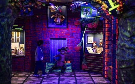 Kedi Müzesi, Beşiktaş'ta açıldı