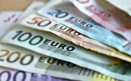 Euro 30 lirayı aştı