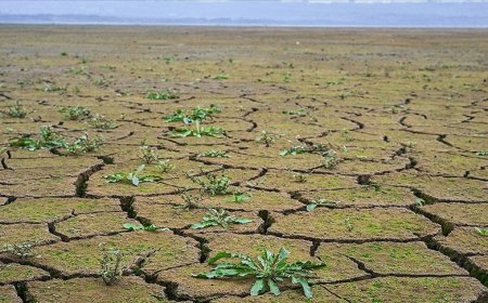 İstanbul'daki 10 barajdan 3'ü "alarm" veriyor