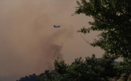 Sekiz orman yangını devam ediyor; yedi kişi gözaltında
