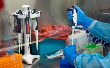 11 soruda "Maymun Çiçeği"