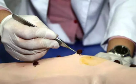 Çin'de yeni virüs endişesi: Beyni etkiliyor!