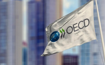 OECD, Türkiye için büyüme beklentisini düşürdü