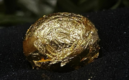 Altın kaplamalı zeytin: Kutusu 300 dolar