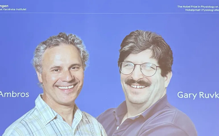 Nobel Tıp ödülünü kazananlar açıklandı