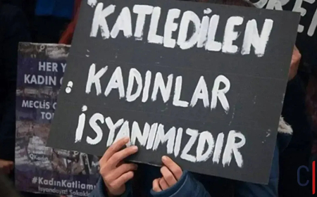Türkiye’de 3 ayda en az 117 kadın öldürüldü