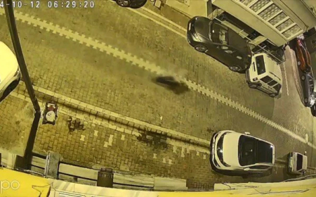 Sokak ortasında hamile kadına taciz: Zanlı tutuklandı