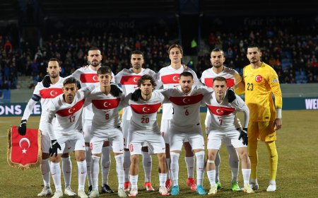 Teşekkürler Bizim Çocuklar! Grazie Vincenzo Montella!