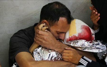 Gazze'de can kaybı 43 bini aştı