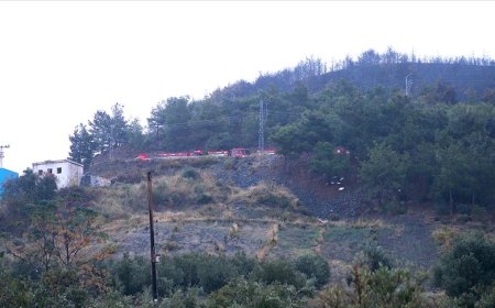 Hatay'da çıkan orman yangını kontrol altına alındı