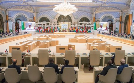 Ortak Zirve'den BM'ye Gazze çağrısı