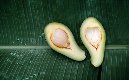 Avokadonun küresel başarı hikâyesi: Türkiye de oyunda!