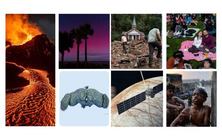 2024'ün en önemli 10 bilimsel olayı