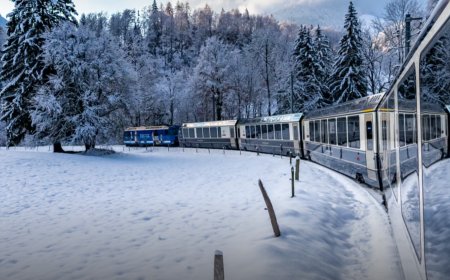 İsviçre'nin en lüks treninde masalsı bir yolculuk