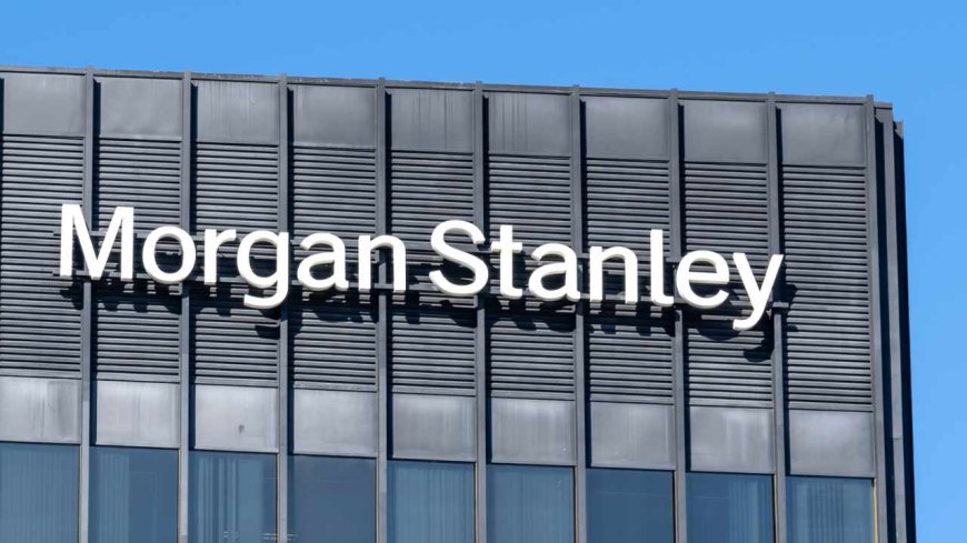 Morgan Stanley'den asgari ücret tahmini