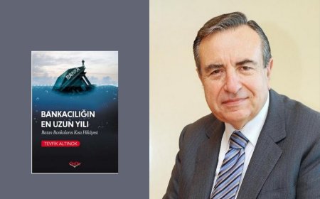 Bir bürokratın kaleminden Türkiye'nin derin mali krizi