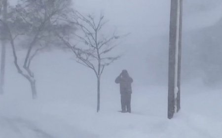 ABD'de 5 eyalette olağanüstü hal ilan edildi