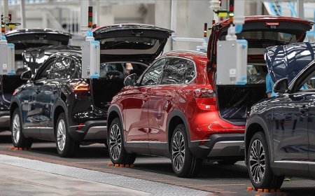 Otomobil ve hafif ticari araç pazarı 2024 yılını rekorla kapattı