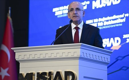 Mehmet Şimşek: Yıllardır zarar açıklayan büyük mükellefler incelemeye alındı
