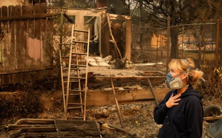 Los Angeles'taki orman yangınlarında ölenlerin sayısı 11'e çıktı